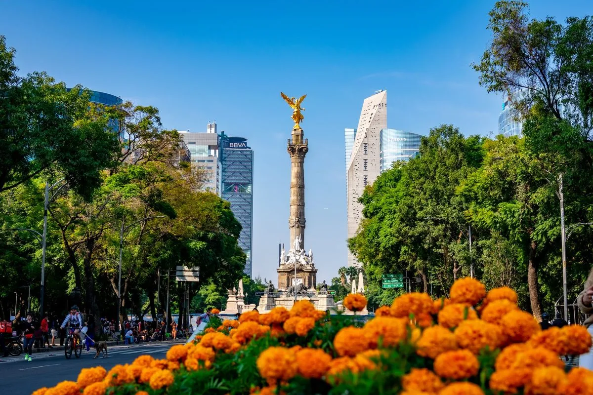Foto de Reformas — Oscar Dominguez via Pexels